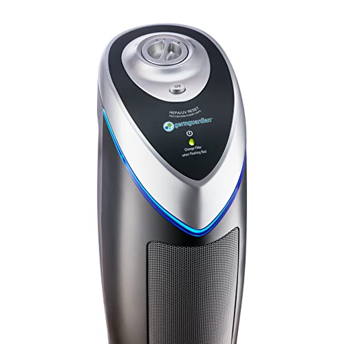 GermGuardian Air Purifier with HEPA 13 Filter, Removes 99.97% of Pollutants, Covers Large Room up to 743 Sq. Foot Room in 1 Hr, UV-C Light Helps Reduce Germs, Zero Ozone Verified, 22", Gray, AC4825E