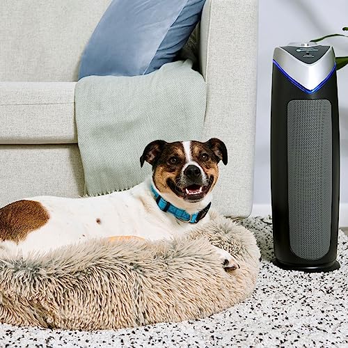 GermGuardian Air Purifier with HEPA 13 Filter, Removes 99.97% of Pollutants, Covers Large Room up to 743 Sq. Foot Room in 1 Hr, UV-C Light Helps Reduce Germs, Zero Ozone Verified, 22", Gray, AC4825E